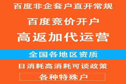 成功SEM推广竞价案例分享