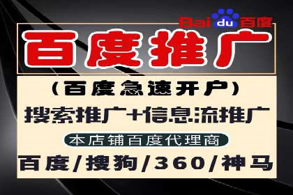 某品牌的信息流广告投放策略及效果展示